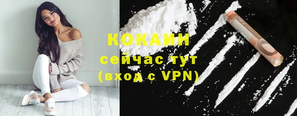 дмт Горняк