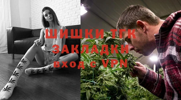 дмт Горняк