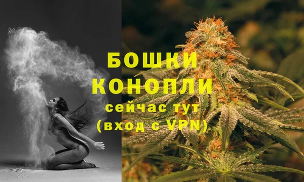 дмт Горняк