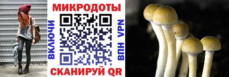 цены   Энгельс  мориарти наркотические препараты  Псилоцибиновые грибы MAGIC MUSHROOMS 